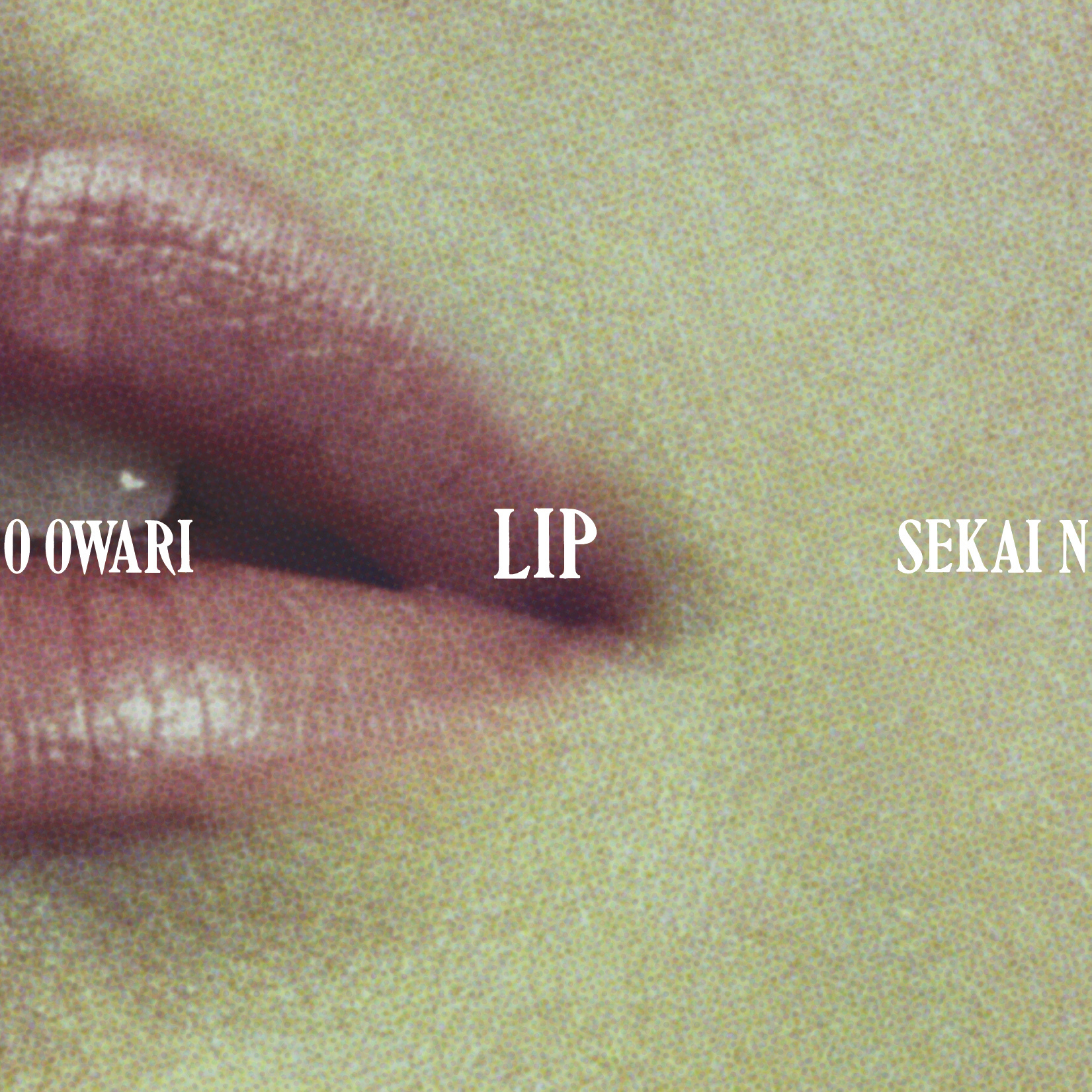 『Lip』