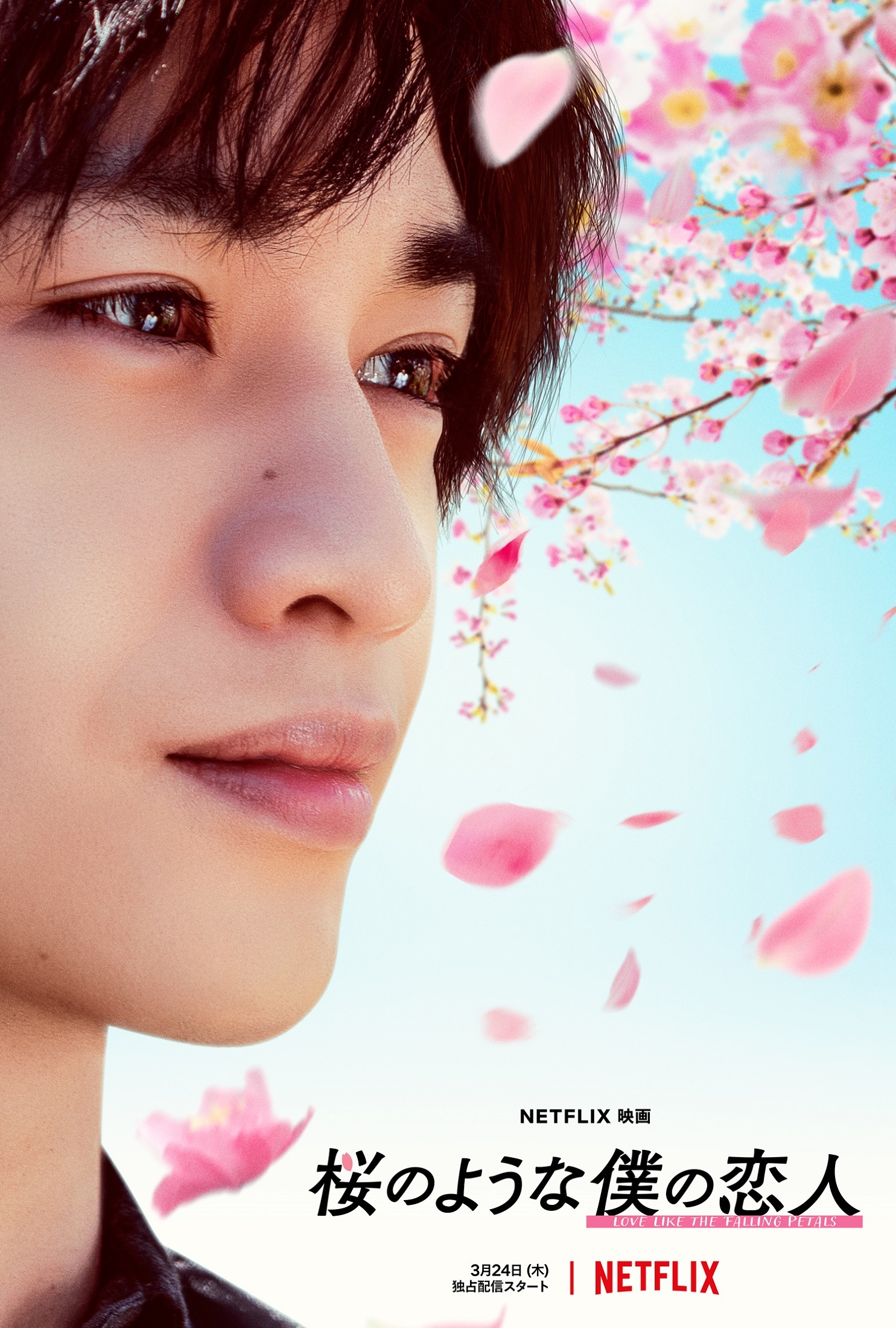 Netflix映画『桜のような僕の恋人』 2022年3月24日（木）Netflixにて全世界独占配信