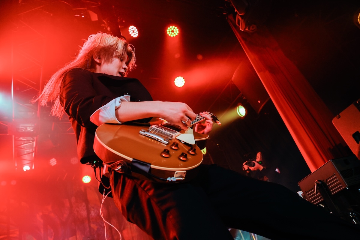 チワワ・ジャップ・Jr