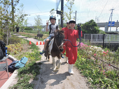 5月5日（日・祝）は八女農業高校ふれあいどうぶつ体験を開催