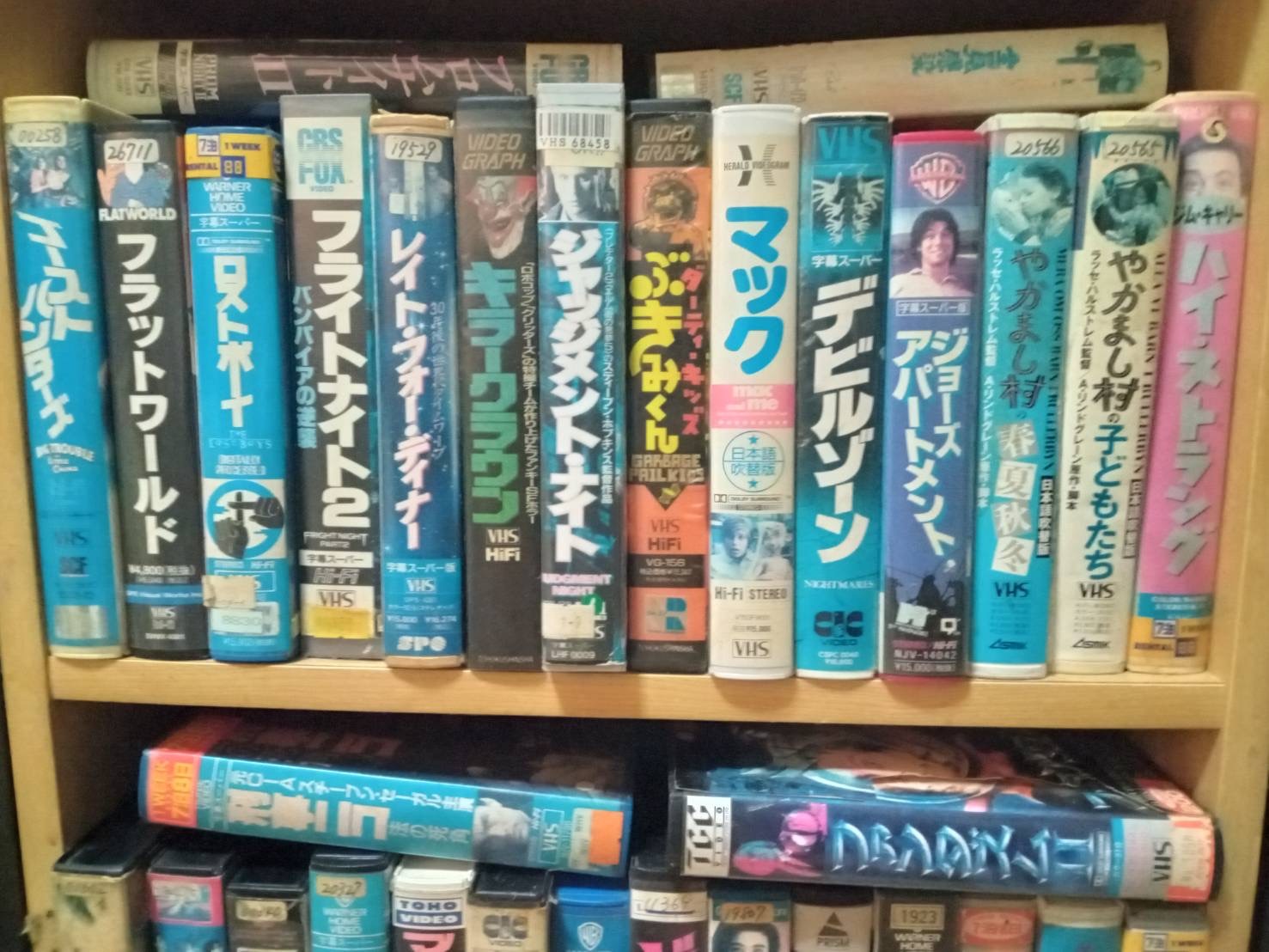 鎌田順也提供の自宅VHS棚写真