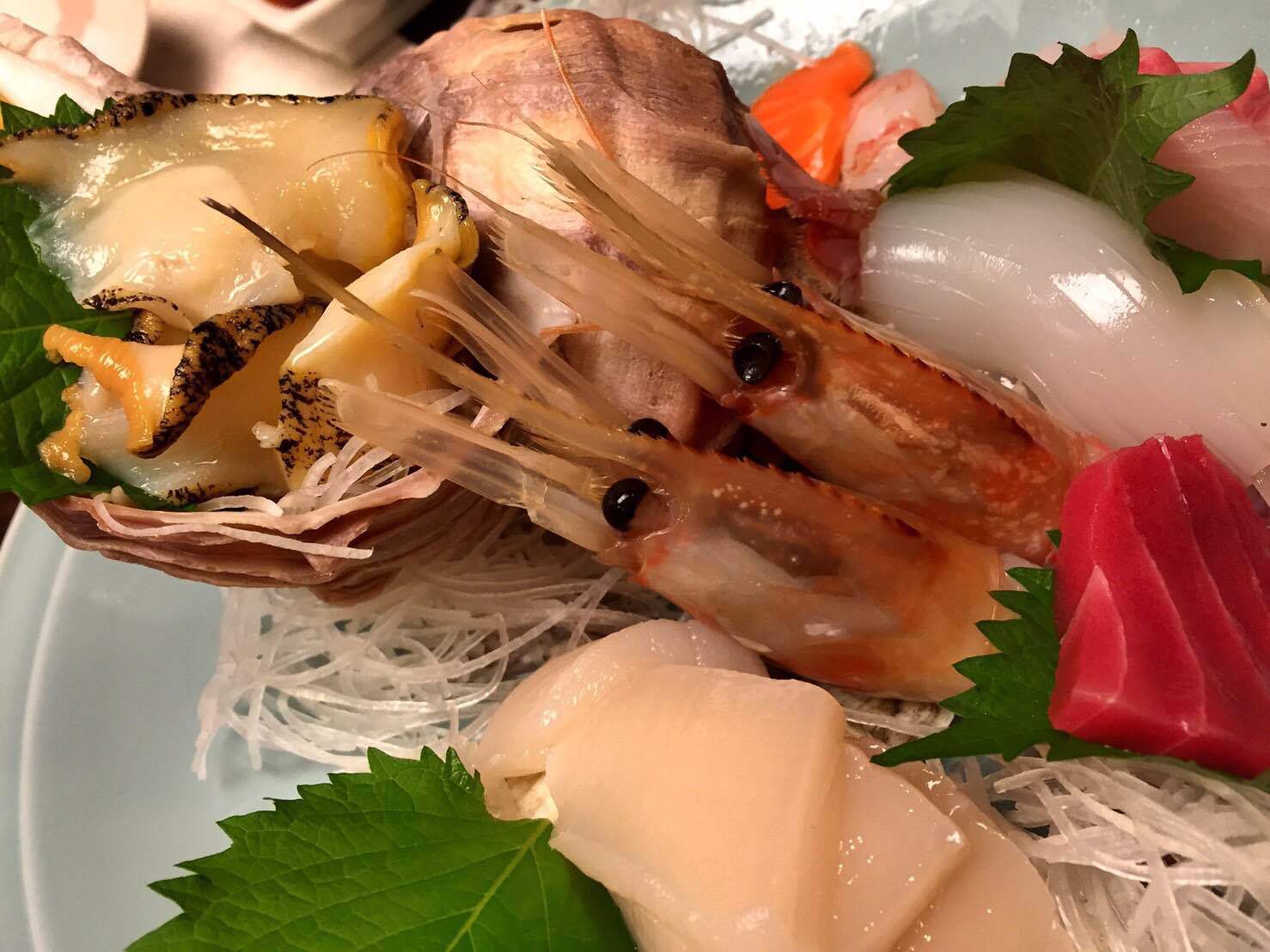 むすれぽ/北海道（とみたけ担当）