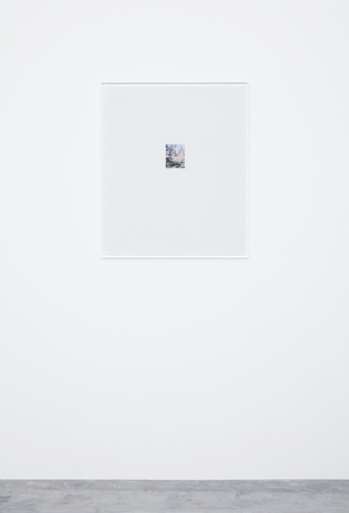 林檎の木 6 2017  c-print, frame: acrylic 63.1 × 52.8 cm ©Yoshihiko Ueda, Courtesy of Tomio Koyama Gallery