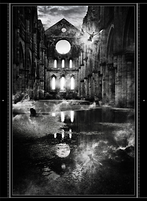 THE MORTAL／DVD & Blu-ray『IMMORTAL』