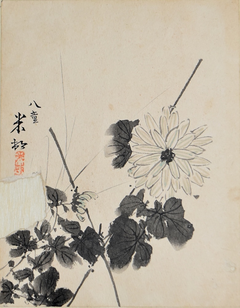 《菊図》大正4年（1915）紙本墨画淡彩 個人蔵 (C)2024 Hiroshi Niiyama