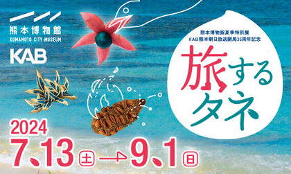 熊本で夏の自由研究にぴったり『旅するタネ』開催、意外とダイナミックなタネの散布を体験しながら学べる特別展示