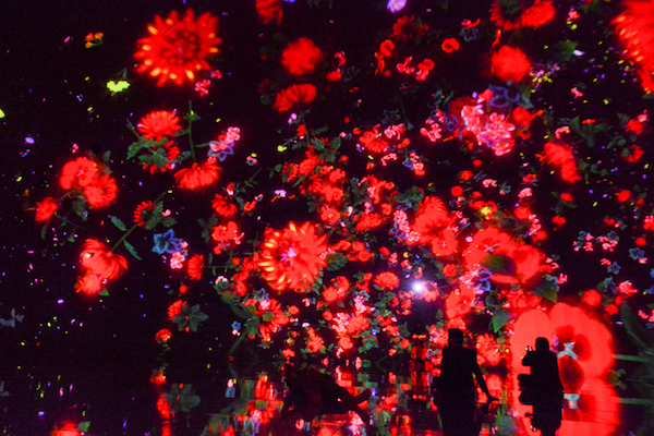 Floating in the Falling Universe of Flowers teamLab, 2016-2018, Interactive Digital Installation, Endless, Sound: Hideaki Takahashi