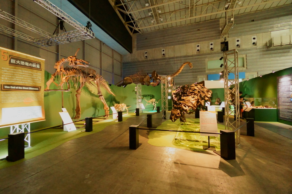 左が、筆者の推し恐竜のチンタオサウルス。ちょんまげのような頭の骨がいつ見てもイケている