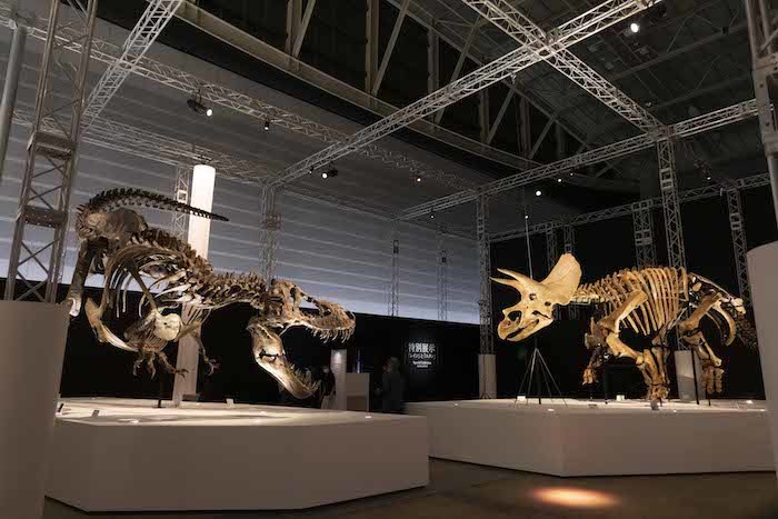 『Sony presents DinoScience 恐竜科学博 〜ララミディア大陸の恐竜物語〜 2021@YOKOHAMA』