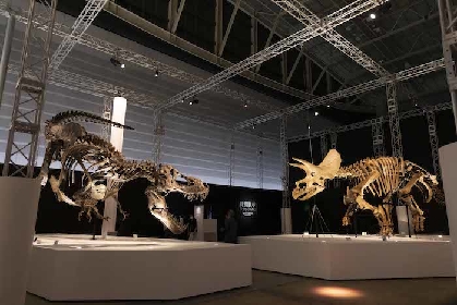 ソニーの恐竜展『DinoScience 恐竜科学博』はこんなにスゴイ！　大興奮の内覧会レポート