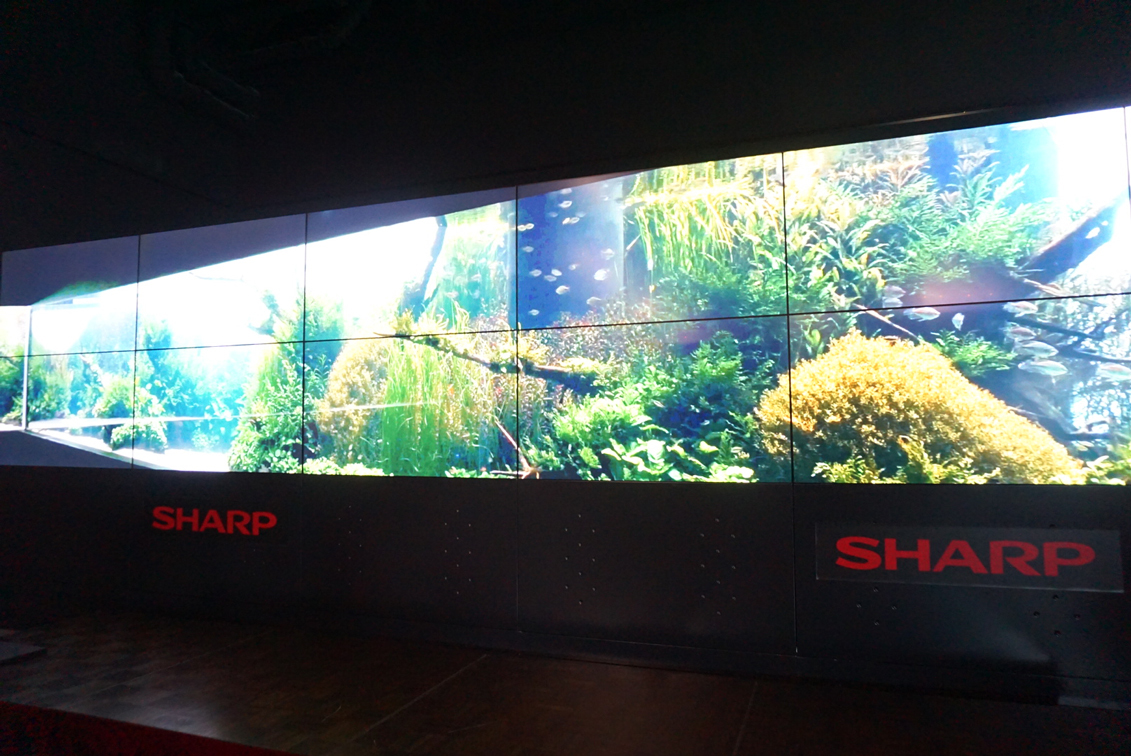 リスボン海洋水族館「水中の森」映像作品