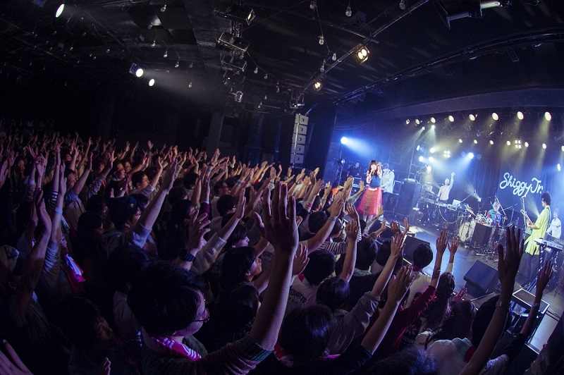 Shiggy Jr.　2017.12.5　LIQUIDROOM　撮影＝田中聖太郎