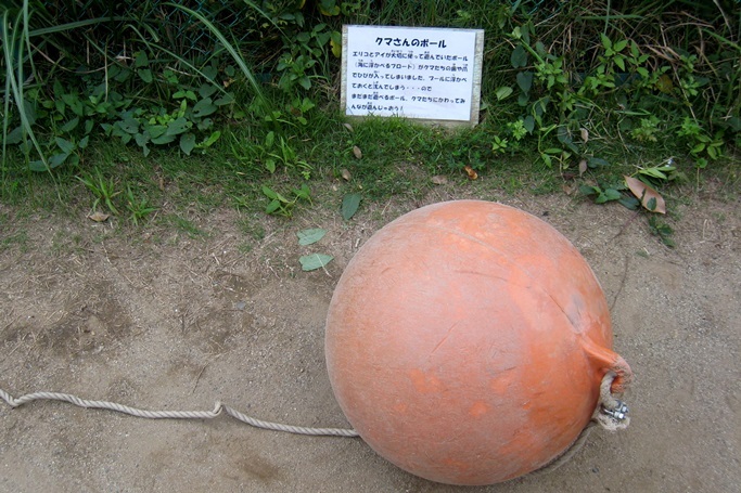 クマさんのボール