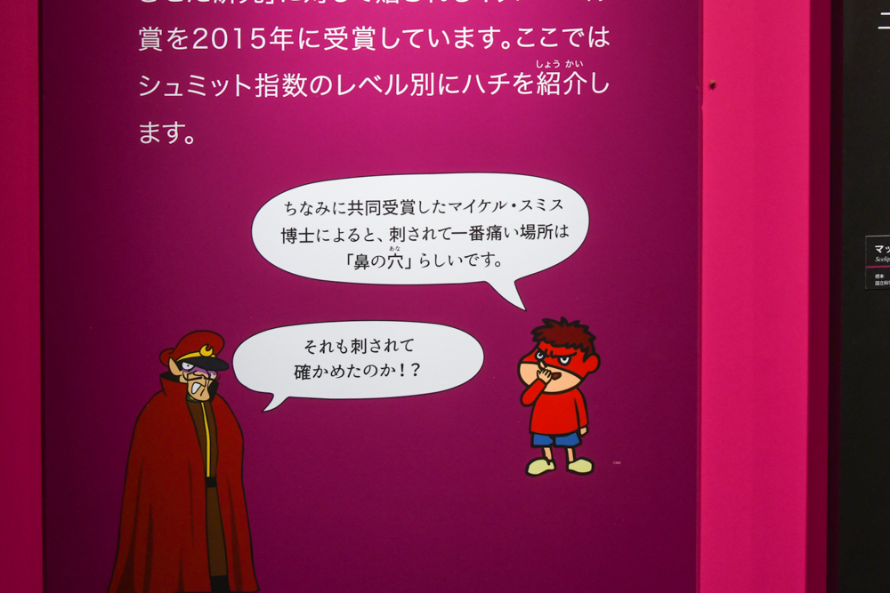 「鷹の爪団」の解説