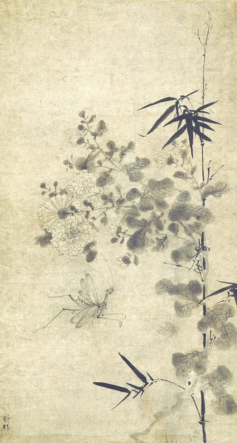 雪村筆　《菊竹蟷螂図》　1幅　74.0×39.5cm　個人蔵 【展示期間：4月25日～5月21日】