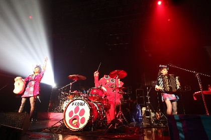にゃんごすたー×チャラン・ポ・ランタンがライブで実現　X JAPAN「紅」披露し大歓声も