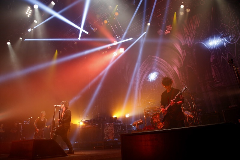VAMPS