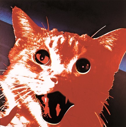 《風景No.13　赤猫》1969年　個人蔵