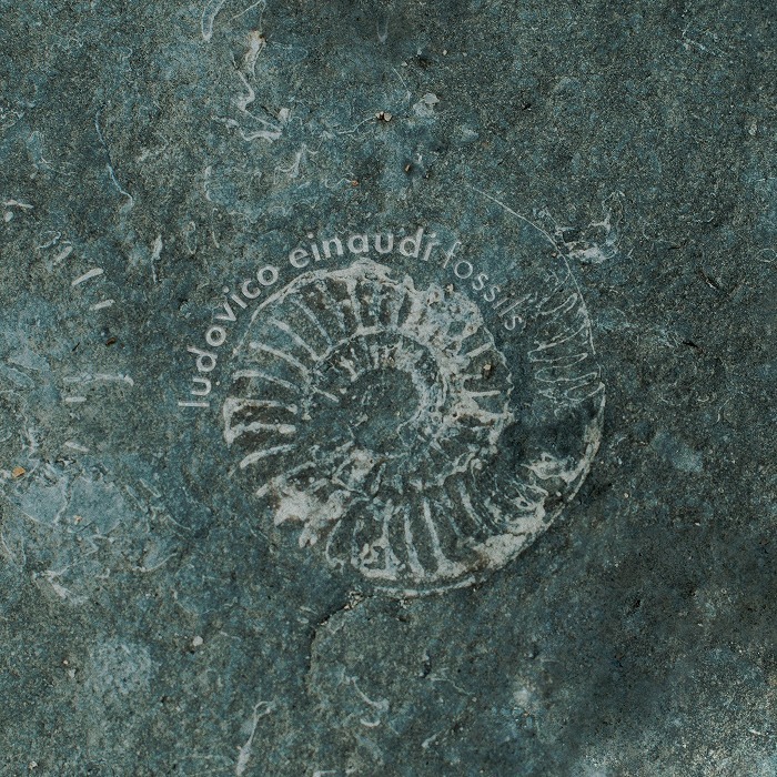 配信シングル「Fossils」デジタル・シングル ジャケット写真