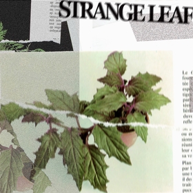 aint lindy、ロンドン在住のedblプロデュースによる新曲「Strange Leaf」を配信リリース