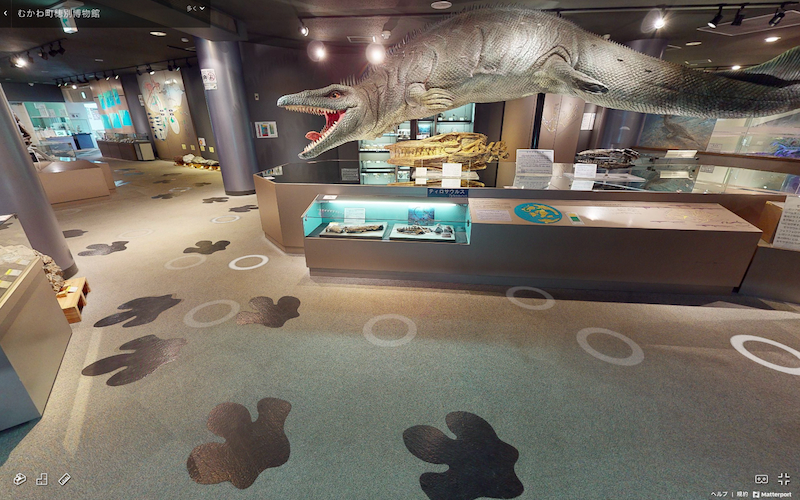 むかわ町穂別博物館の床面には恐竜の足跡が