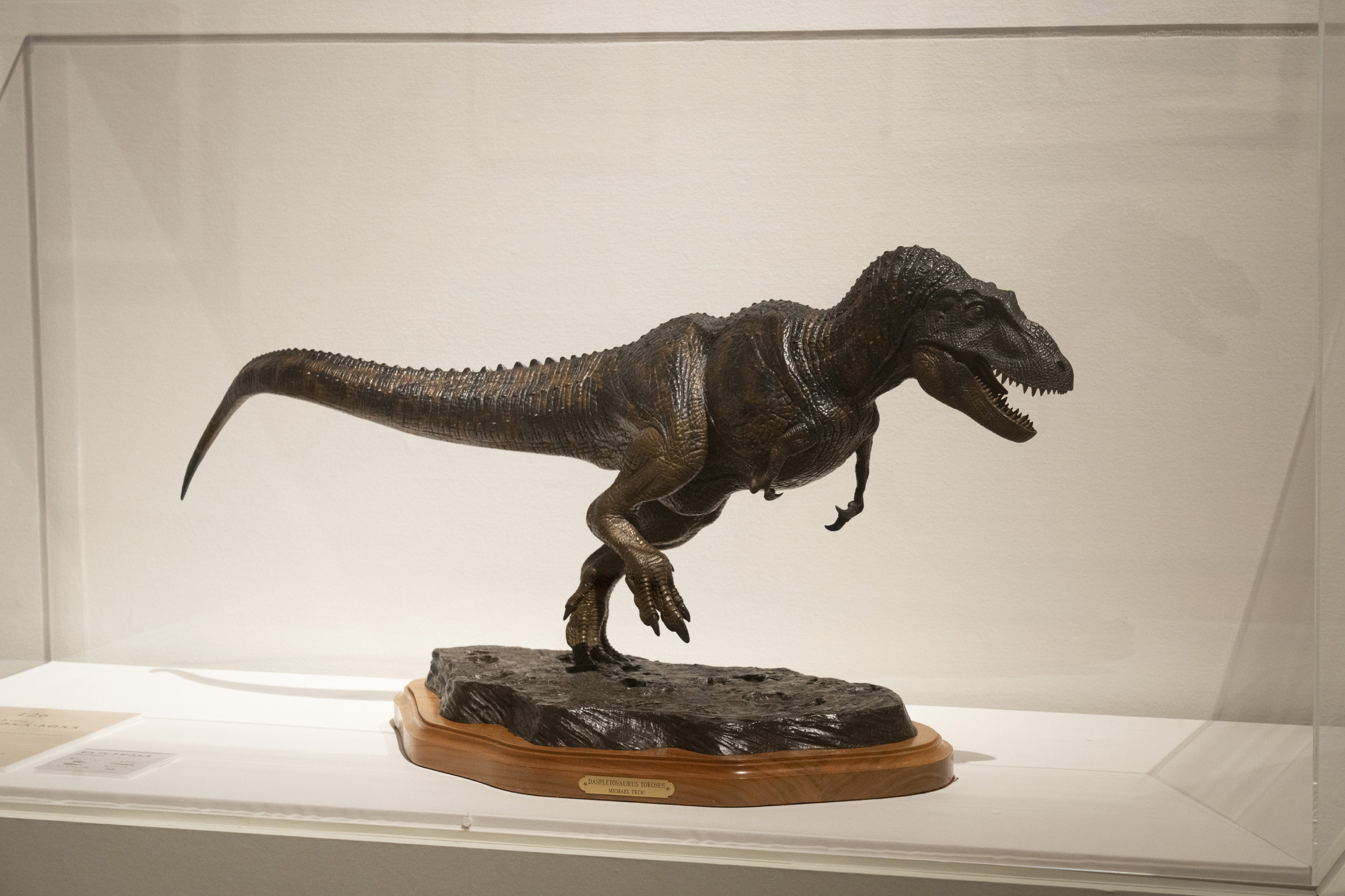 マイケル・ターシック「ダスプレトサウルス・トロスス」1993年　インディアナポリス子供博物館( ランツェンドルフ・コレクション） (c) Michael Trcic