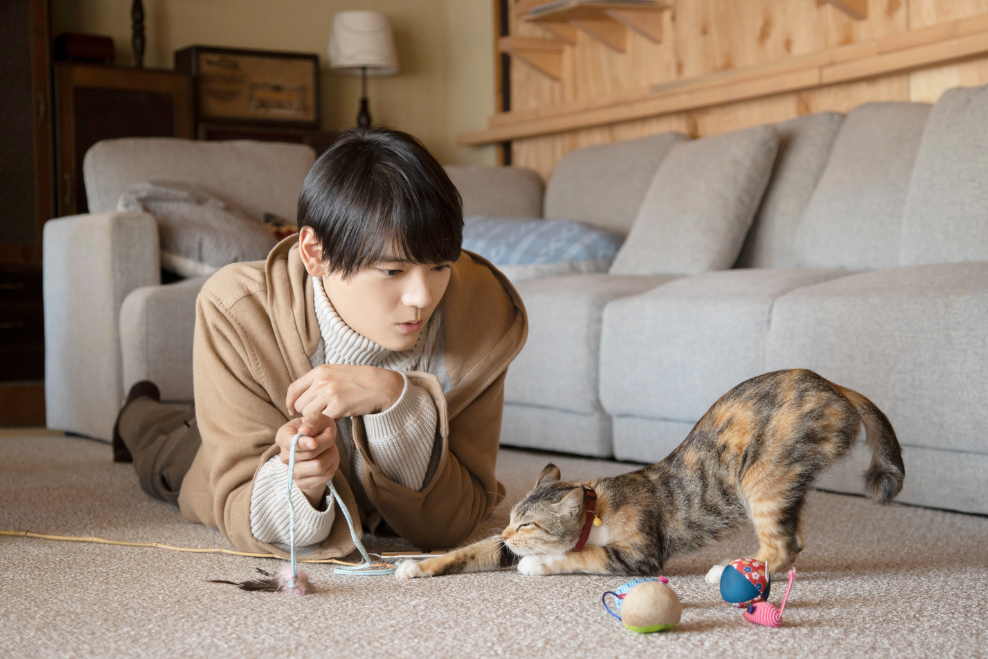 (C)2022「ねこ物件」製作委員会