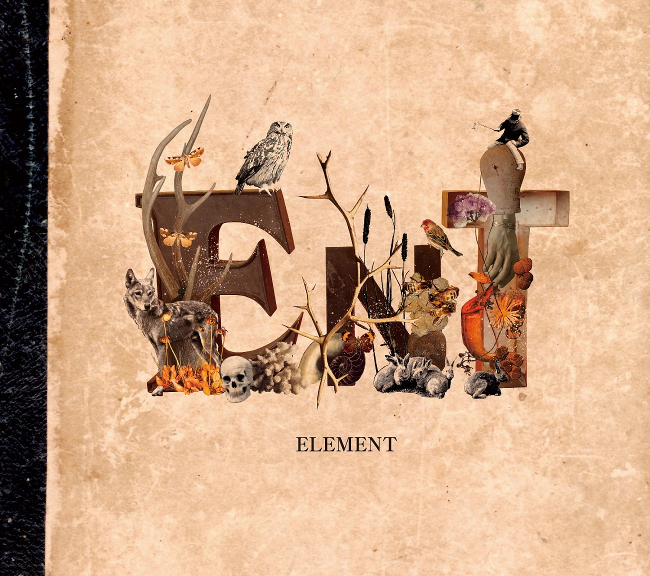 ent『ELEMENT』