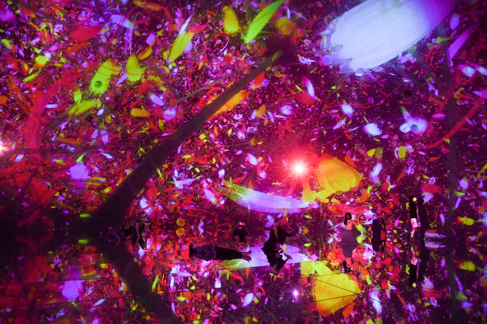 Floating in the Falling Universe of Flowers teamLab, 2016-2018,  Interactive Digital Installation, Endless, Sound: Hideaki Takahashi