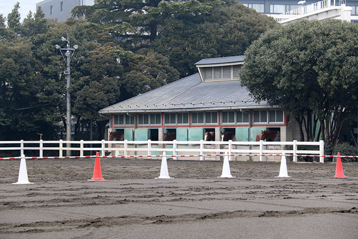 東京乗馬倶楽部の厩舎。ここから塚田さんが登場しました！