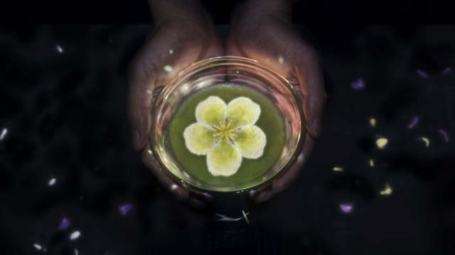 WASO Tea House - 小さきものの中にある無限の宇宙に咲く花 /  WASO Tea House - Flowers Bloom in an Infinite Universe inside a Teacup teamLab, 2017, Interactive Digital Installation, Endless, Sound: Hideaki Takahashi