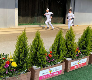 練習用走路のフェンスは緑豊かな植栽に変更され、選手がより間近で感じられるスポットに
