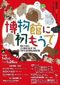 「犬」をテーマにした特集展示も　東京国立博物館の『博物館に初もうで』が開催