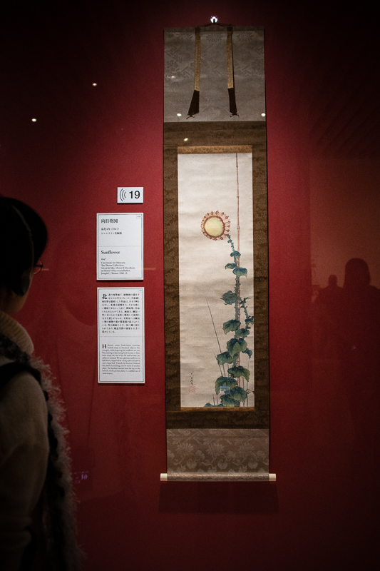 《向日葵図》弘化4年（1847） シンシナティ美術館 通期展示