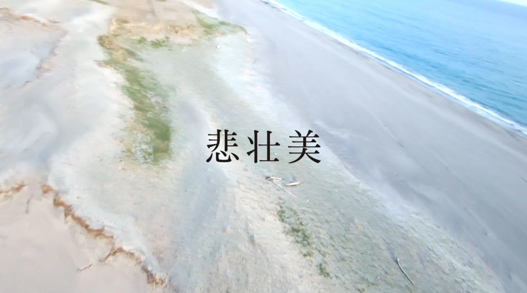 LUNA SEA「悲壮美」MVより