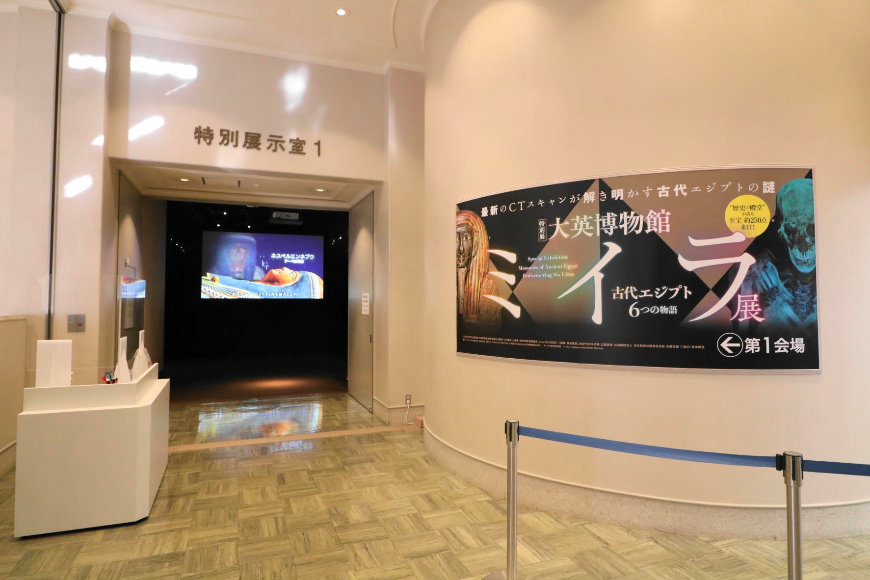 展示１