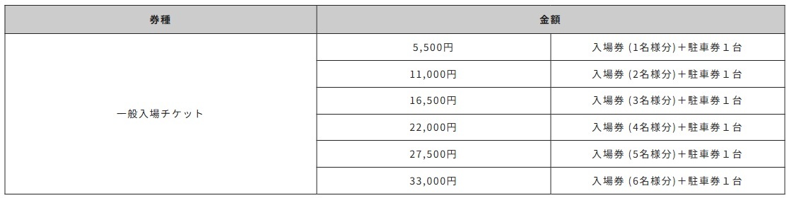 一般入場チケット