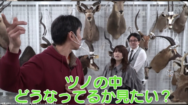 コラボレーション特番『川田先生＆大空直美の収蔵庫さんぽ！』より
