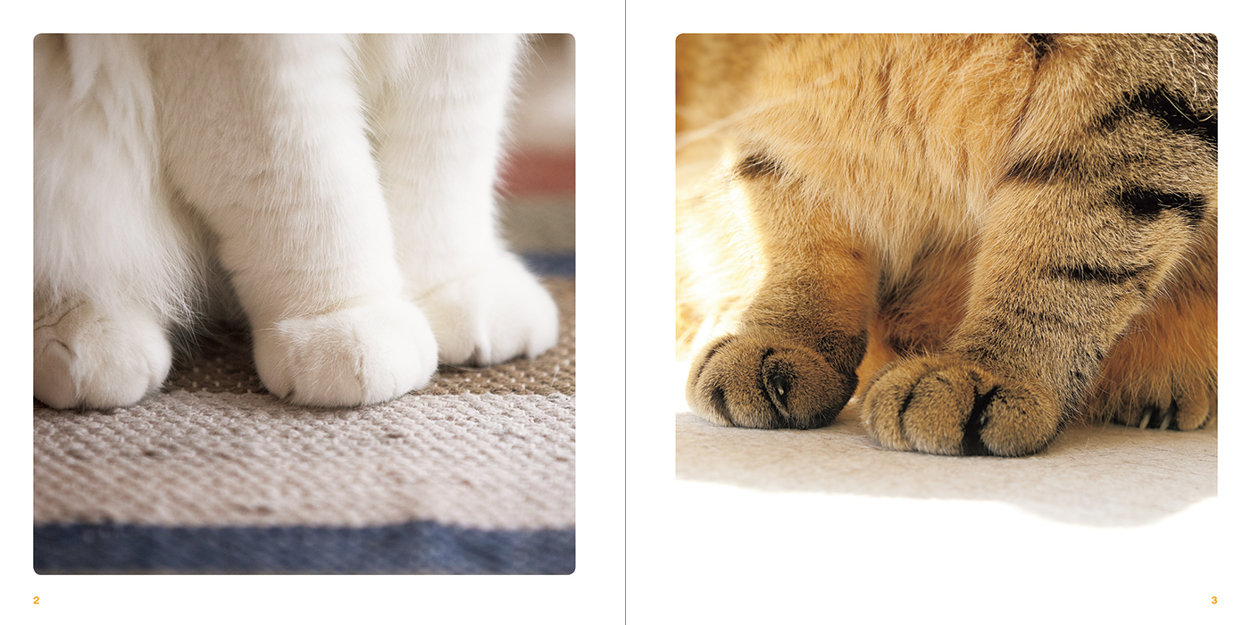 ねこのおてて