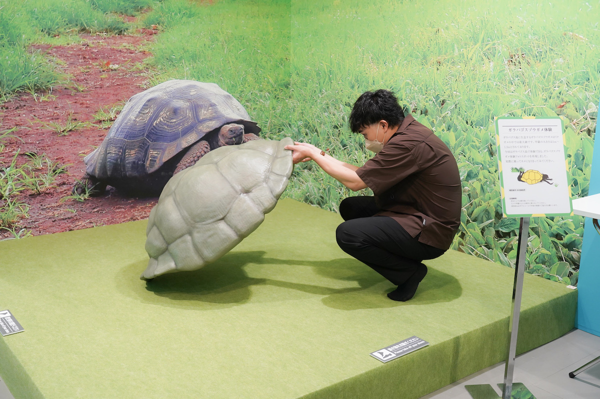 甲羅の重さを確かめて…