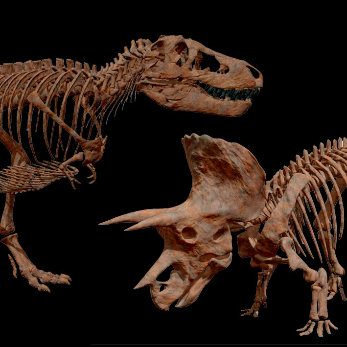 ティラノサウルスとトリケラトプス