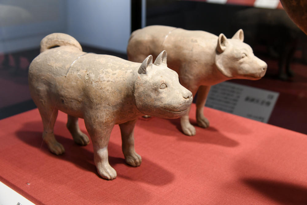 《家畜犬陶俑》　前漢　漢景帝陽陵博物院蔵