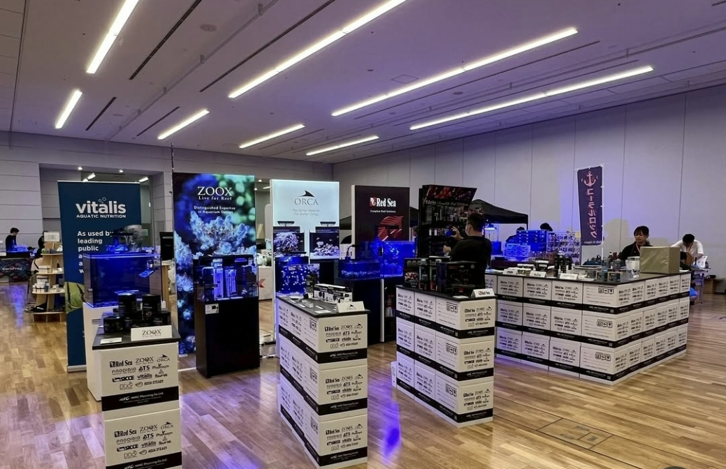 『REEF FESTA』東京開催のようす