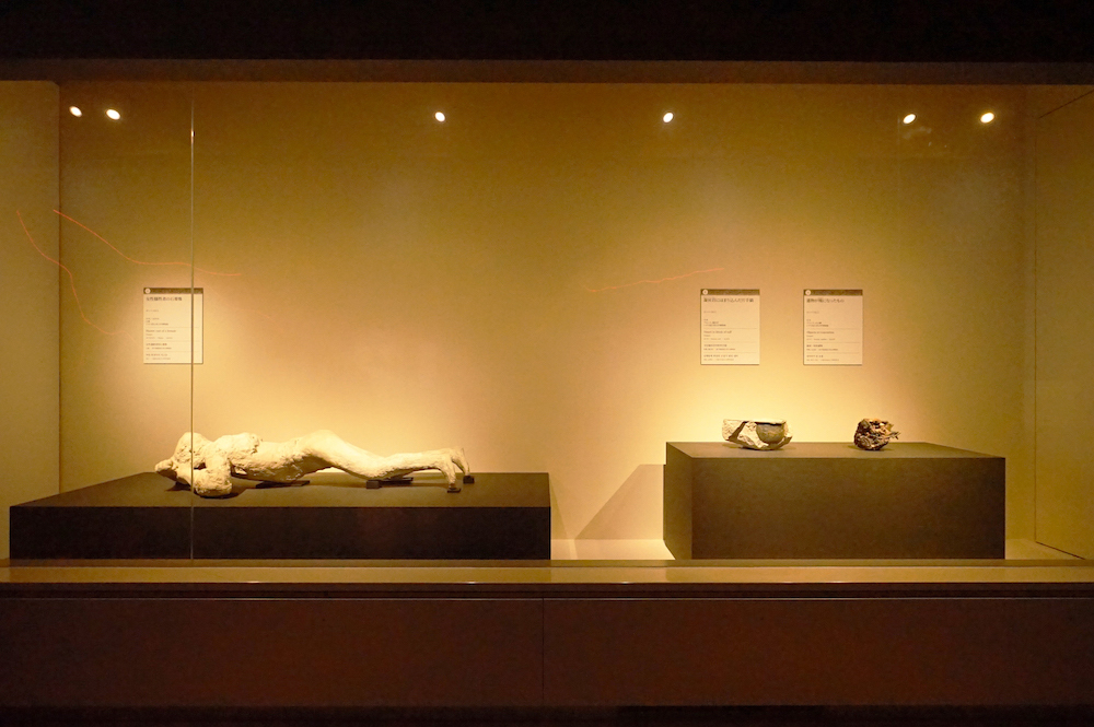 左：《女性犠牲者の石膏像》石膏、ナポリ国立考古学博物館蔵