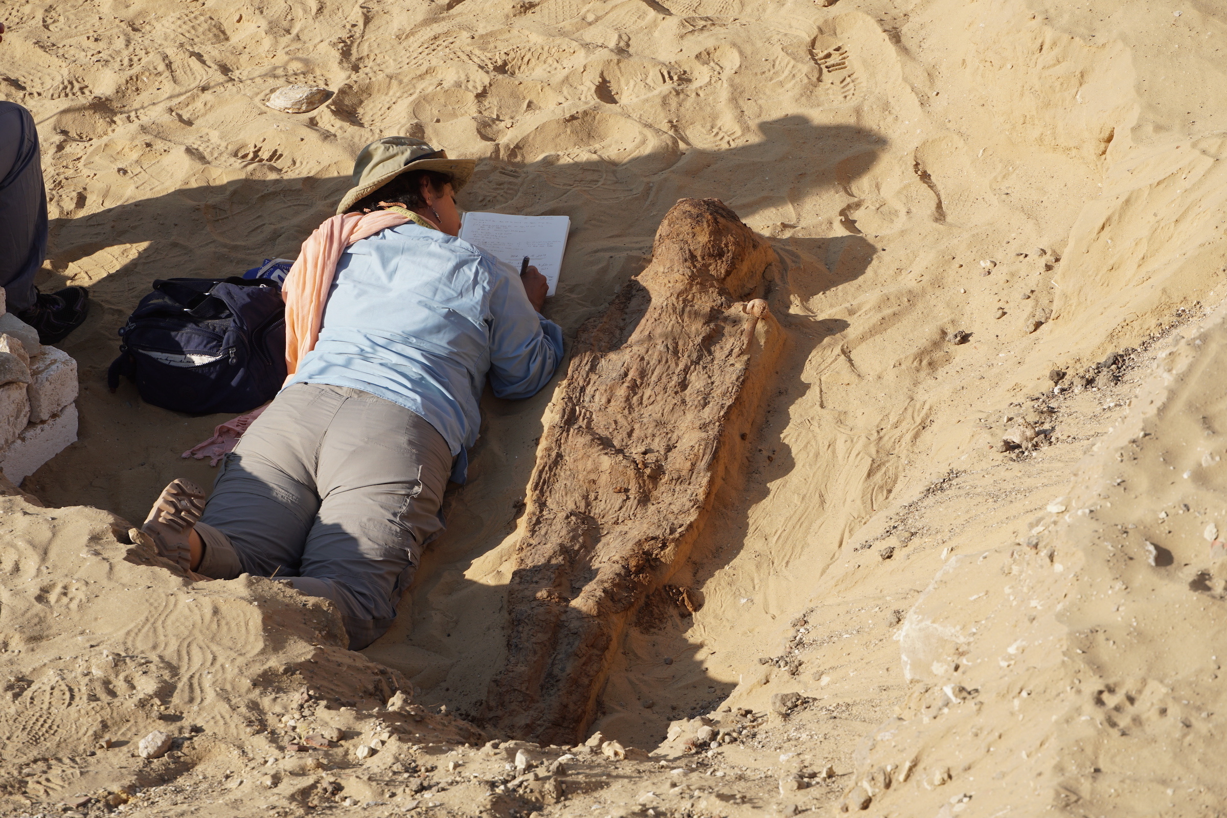 ミイラの調査 (c)North Saqqara Project