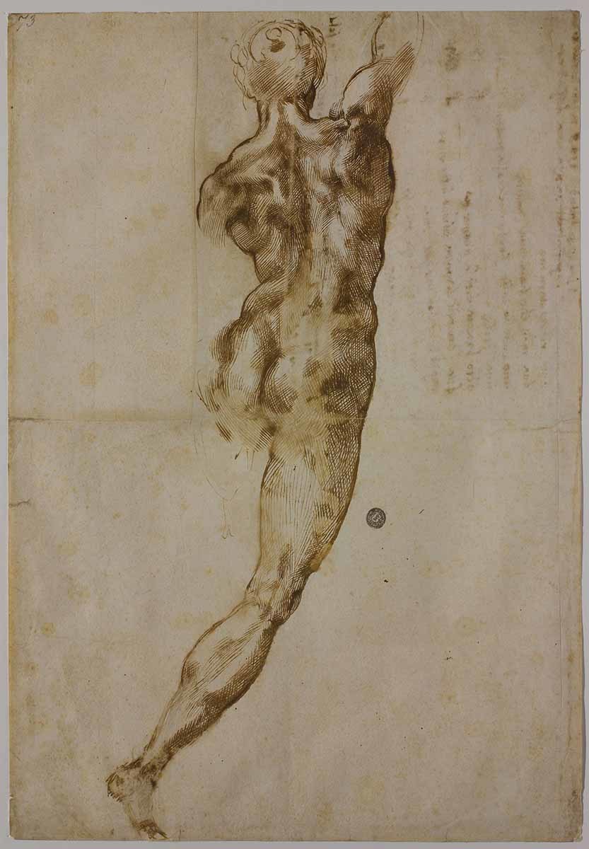 ミケランジェロ・ブオナローティ 《背を向けた男性裸体像》 1504-05年 カーサ・ブオナローティ