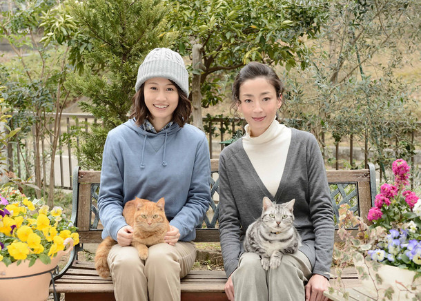 「連続ドラマW　グーグーだって猫である2 -good good the fortune cat-」に出演する前田敦子と宮沢りえ。(c)WOWOW　