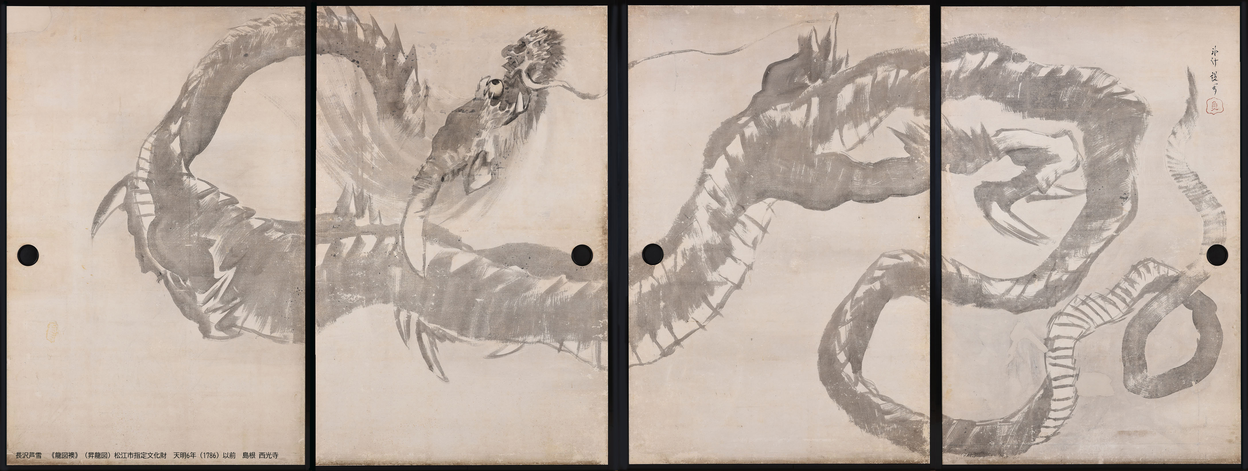 長沢芦雪　「龍図襖」（昇龍図）　松江市指定文化財 天明6年（1786）以前 島根　西光寺 展示期間：11月7日～12月3日