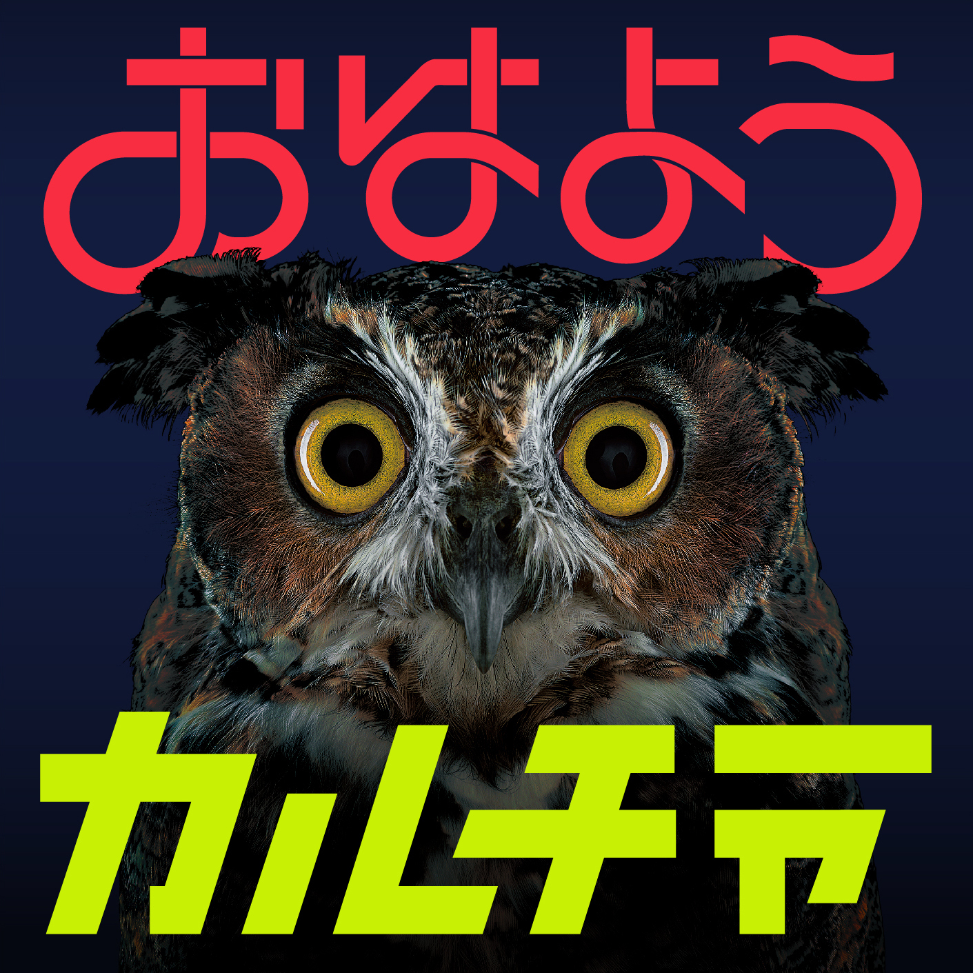 go!go!vanillas「おはようカルチャー」
