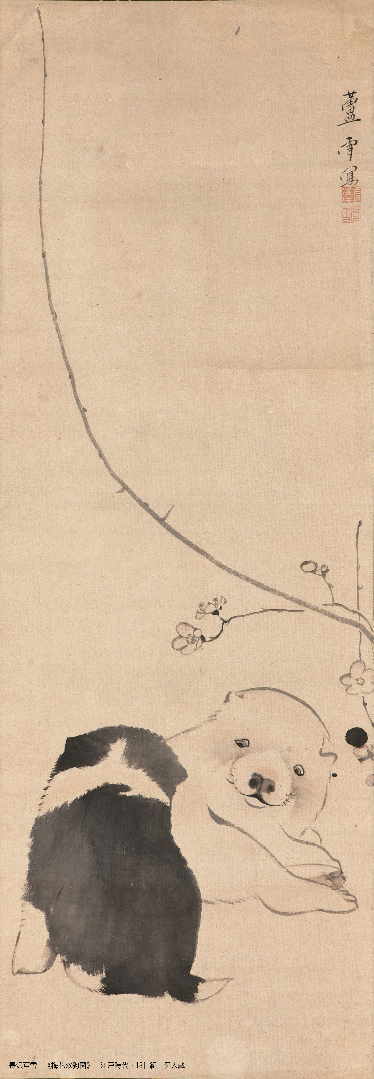 長沢芦雪　「梅花双狗図」  江戸時代・18世紀 個人蔵 展示期間：11月7日～12月3日